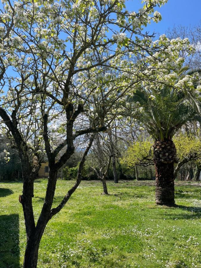 B&B Casal Pereto Valmontone Bagian luar foto